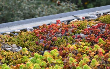 the cost of Melrose green roof installation