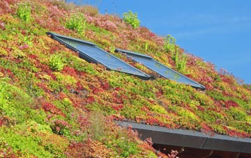 Melrose living roof systems